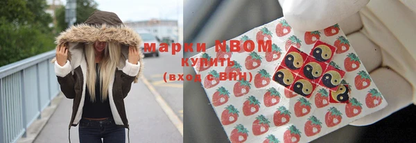 ешки Аркадак