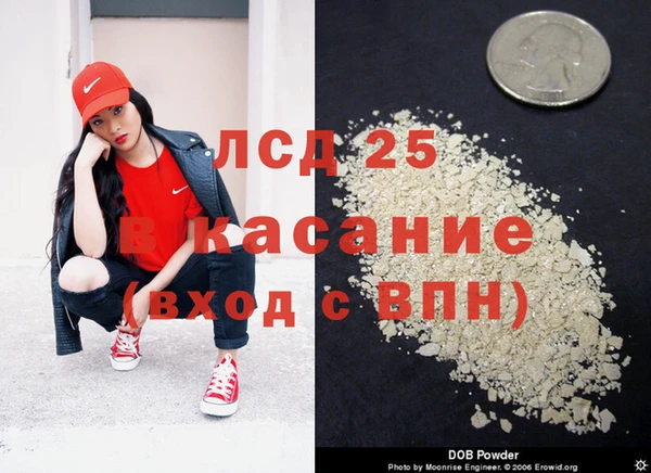 ешки Аркадак