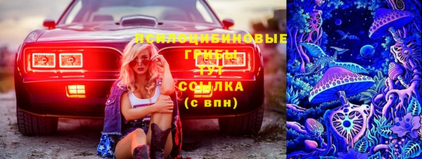 ешки Аркадак
