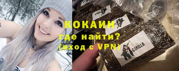 ешки Аркадак