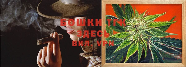 ешки Аркадак