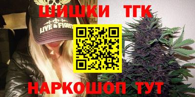гидра Кингисепп