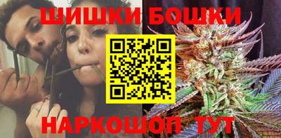индика Кинель