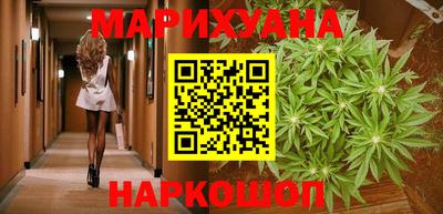 гидра Кингисепп