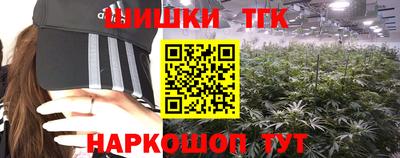гидра Кингисепп