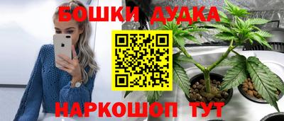 индика Кинель