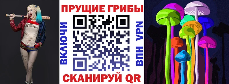 как найти   Сосновый Бор  дарк нет как зайти  Псилоцибиновые грибы MAGIC MUSHROOMS 