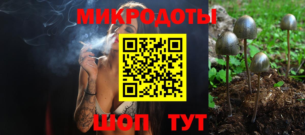 Сосновый Бор  Псилоцибиновые грибы Cubensis  Вход с VPN 